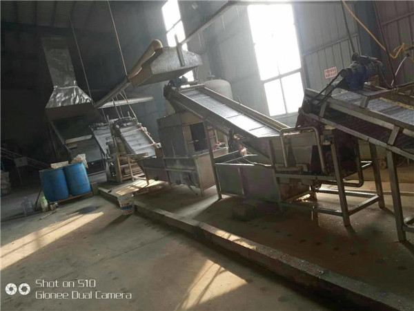 羞羞答答网站播种机