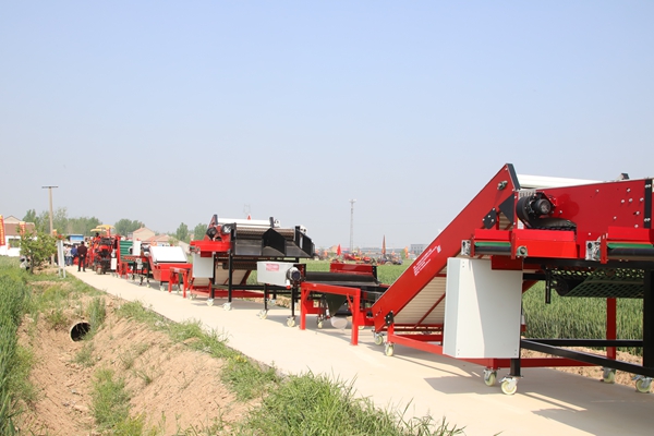 羞羞答答网站分选机生产